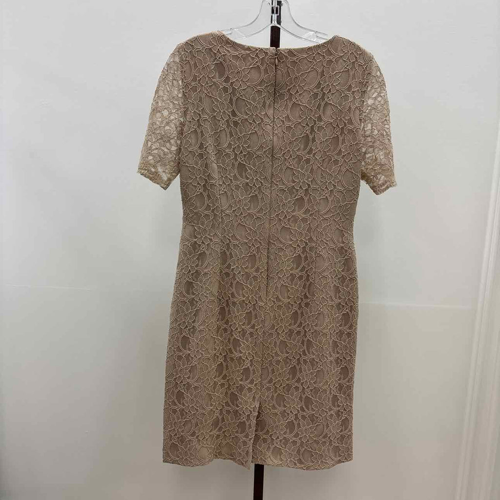 Alex Marie Size 6 Tan Lace Preloved Dress