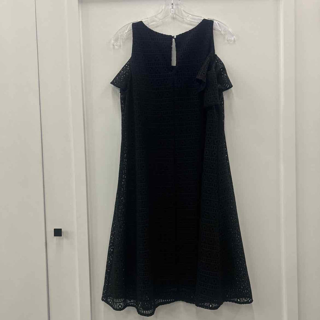 AlwaysIndigo Size 1X Black Lace Preloved Dress