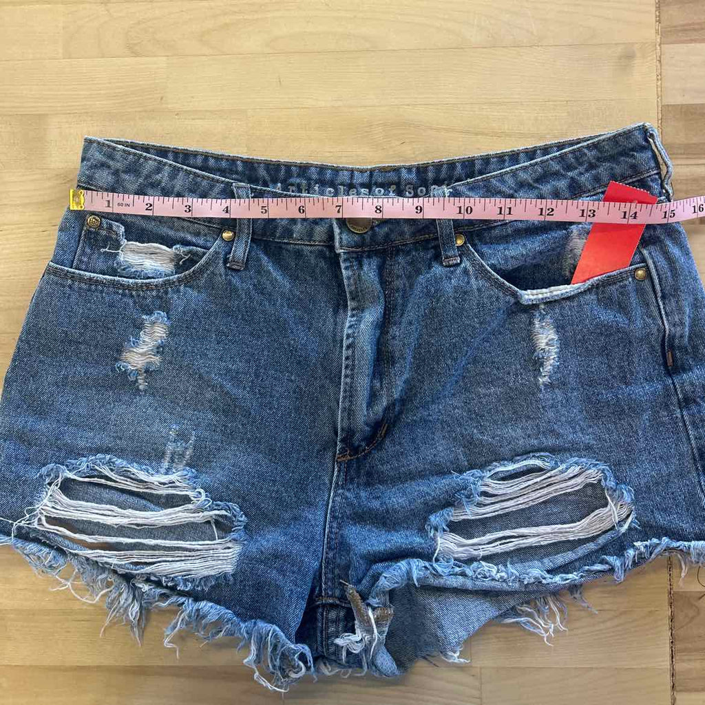 Articles Of Society Size 28 Blue Preloved Shorts