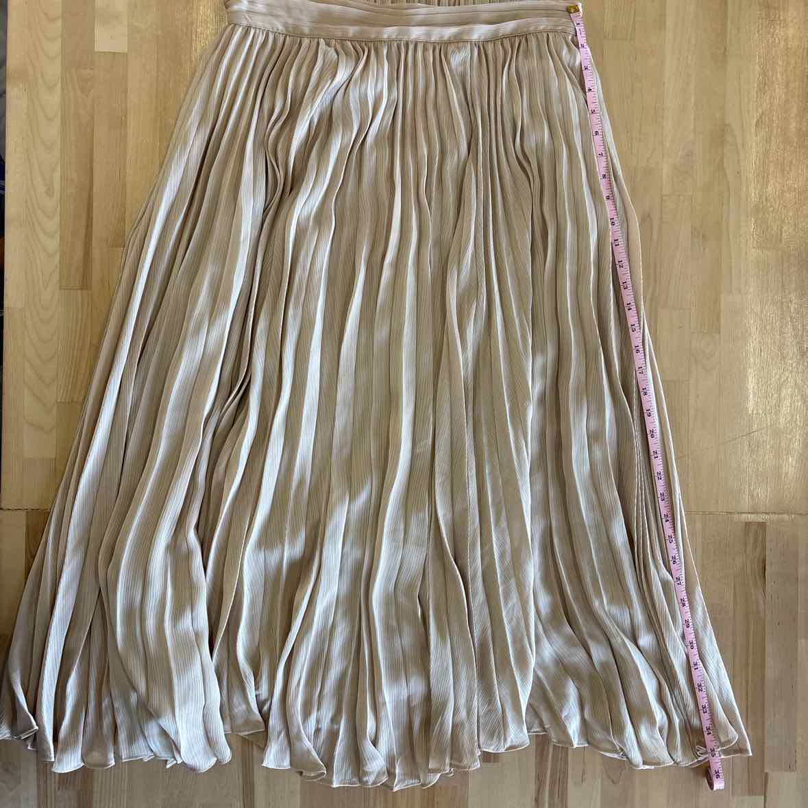 Banana Republic  Size L Champagne Maxi Length Pleated Skirt NWT