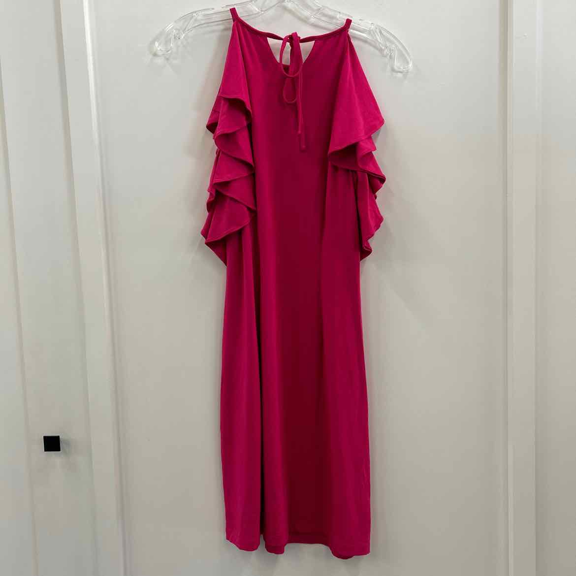 Ann Taylor Size 4P Pink Dress